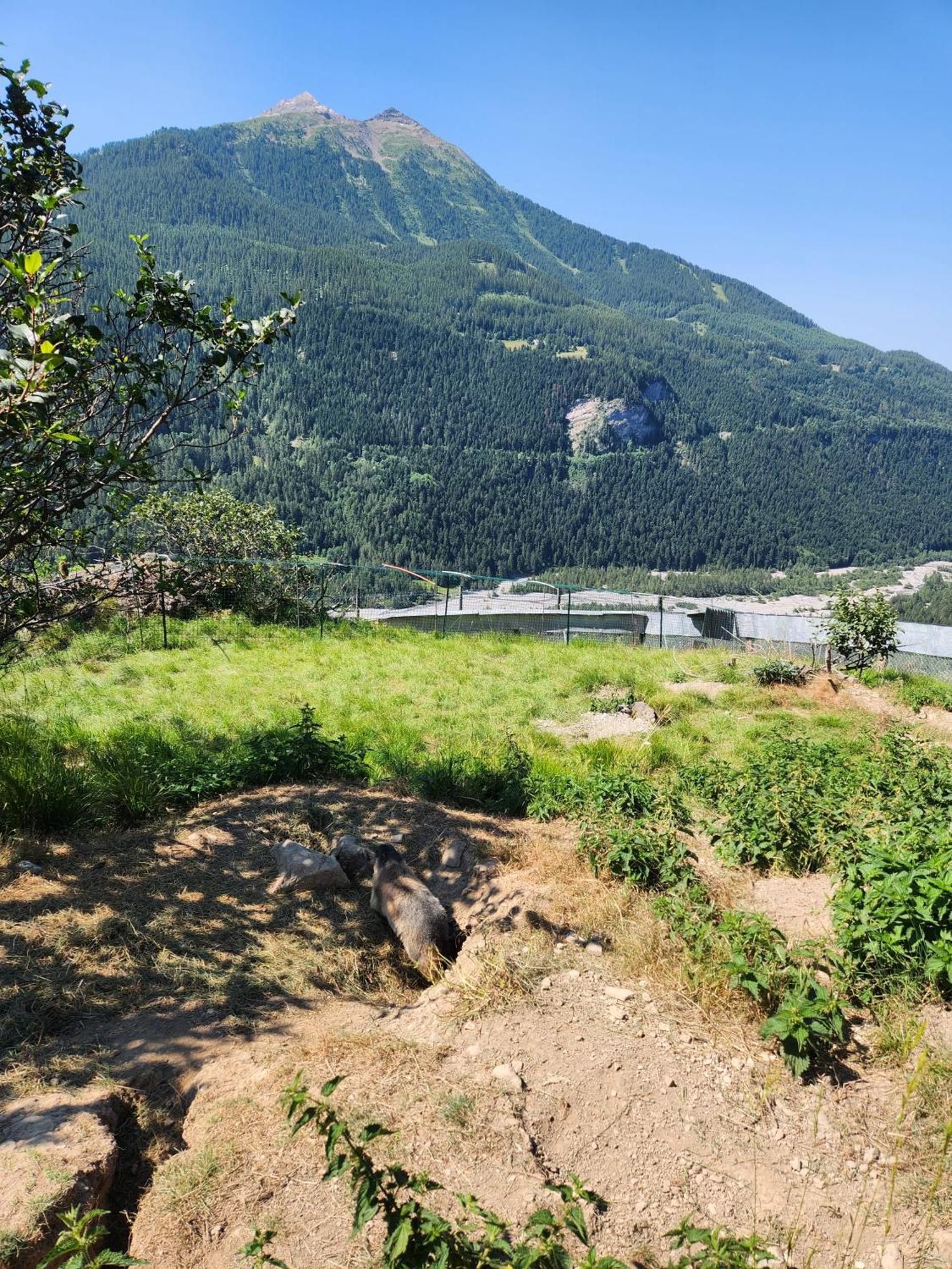 Appartement T3 Avec Jardin Proche Village Saint-Bonnet-en-Champsaur Exteriér fotografie